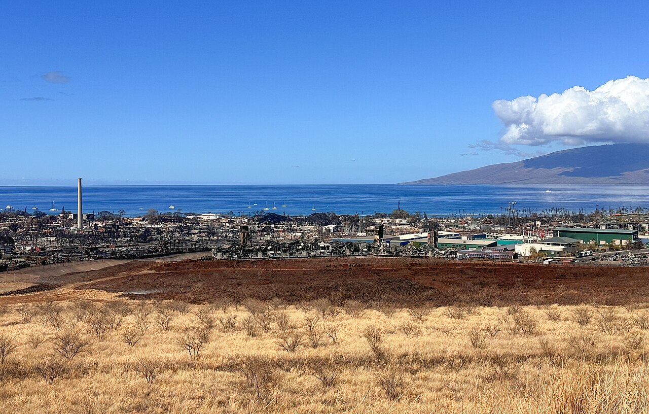Lahaina’s Preventable Catastrophe: The Bureaucratic Failures That Turned a Brush Fire Into America’s Deadliest Wildfire in a