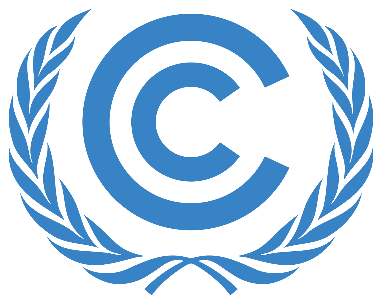 Climate Conference Circuit NGO