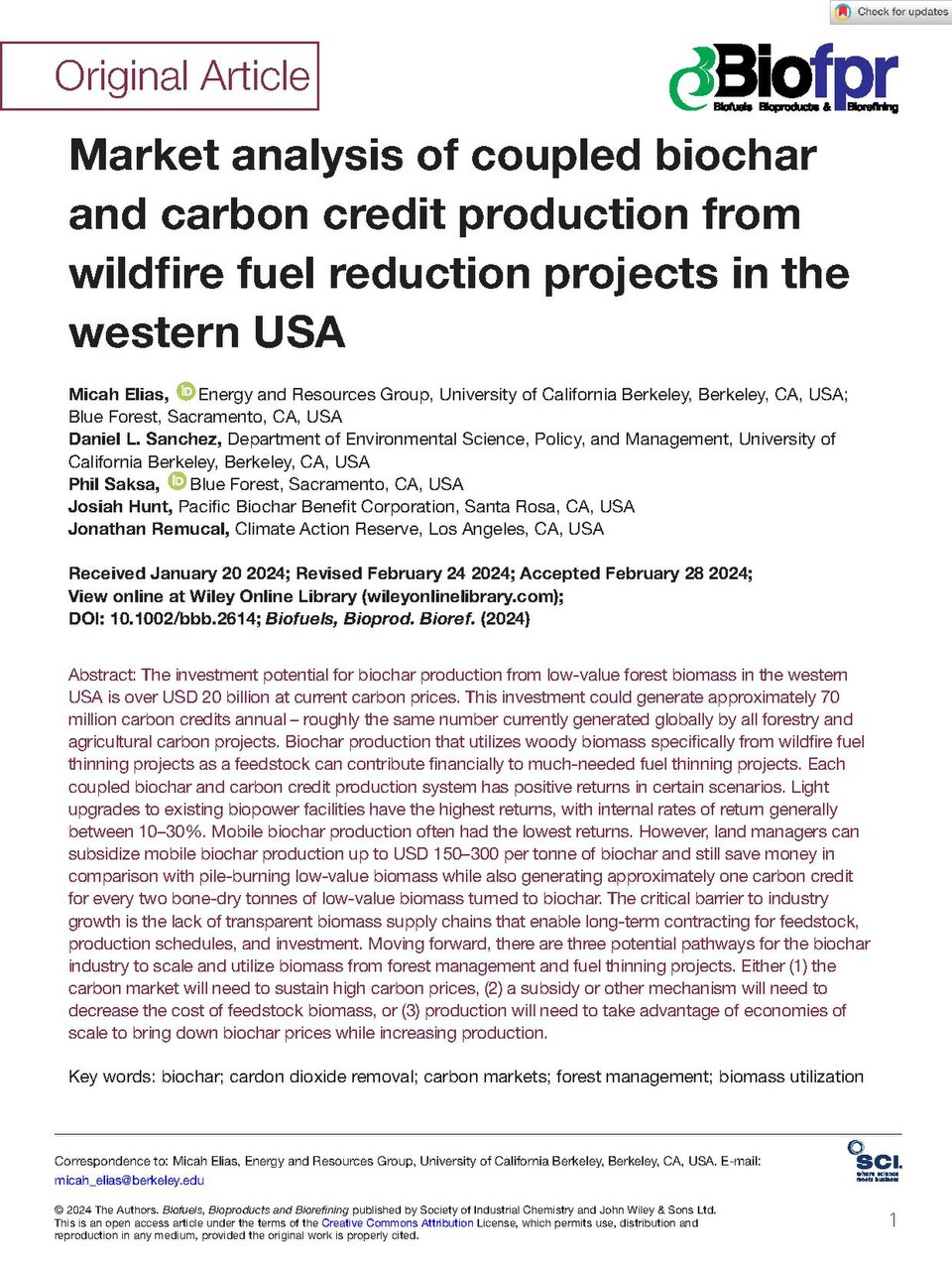 Carbon Credit Collapse Forestry