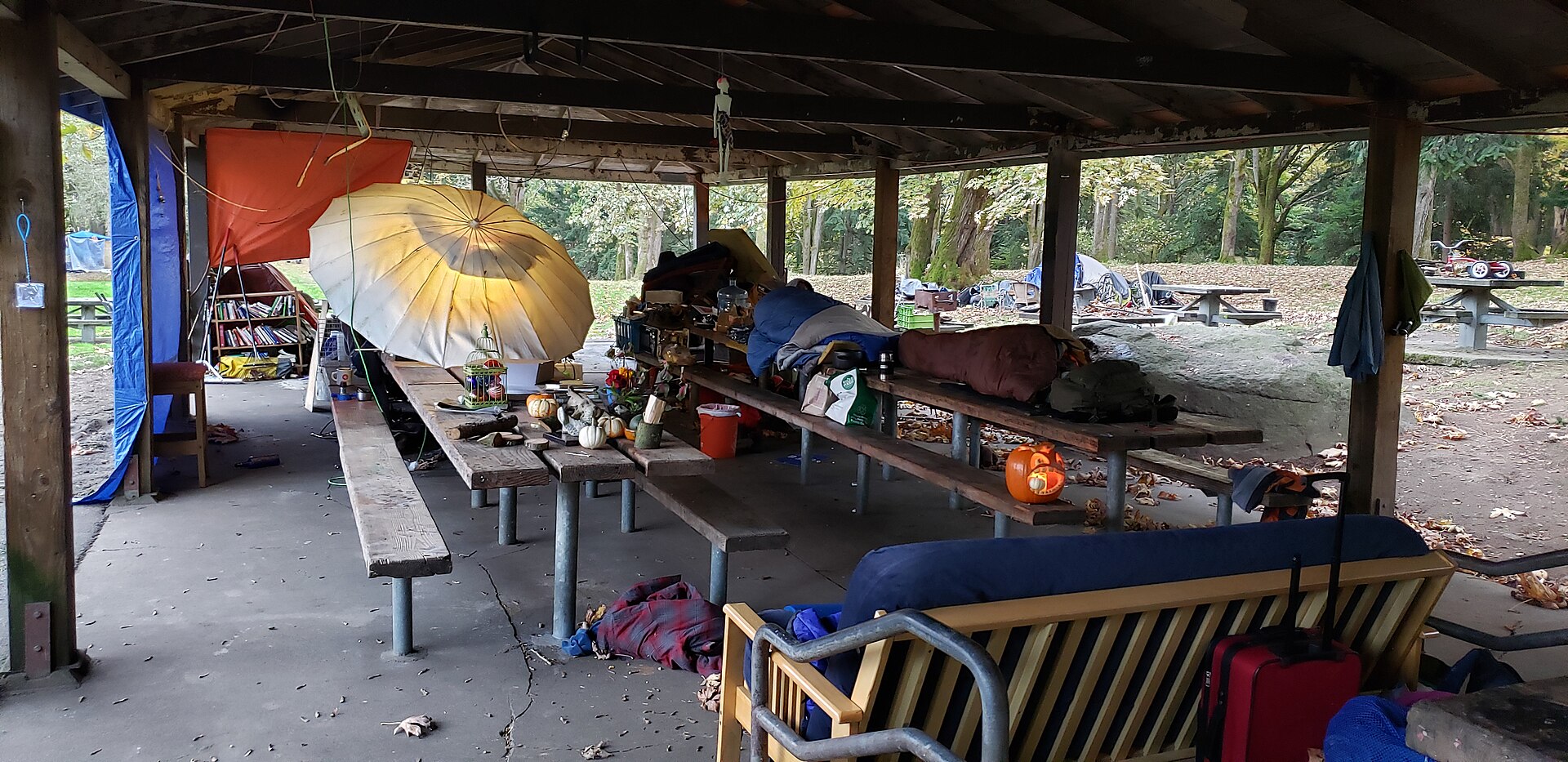 seattle-homelessness-tents-woodland-park