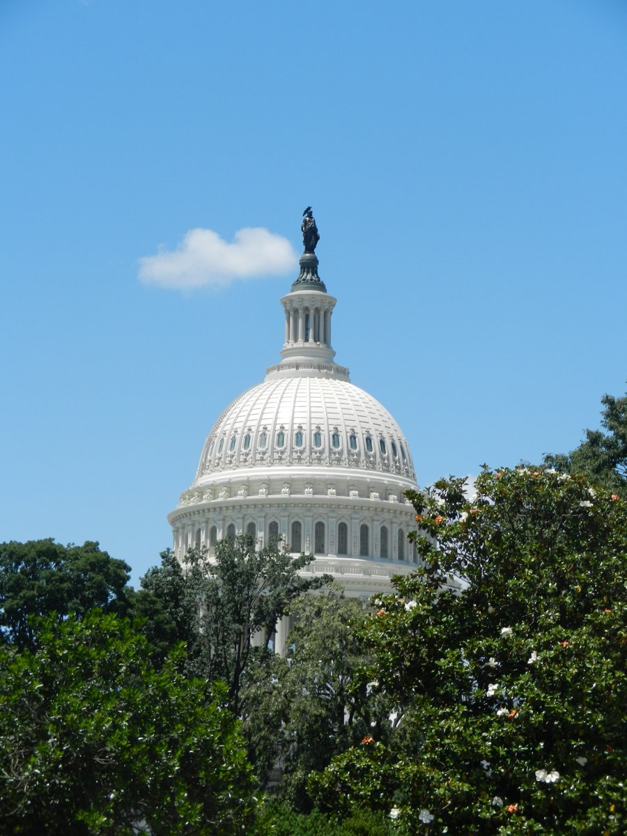 us-capitol-cherfilus-investigation